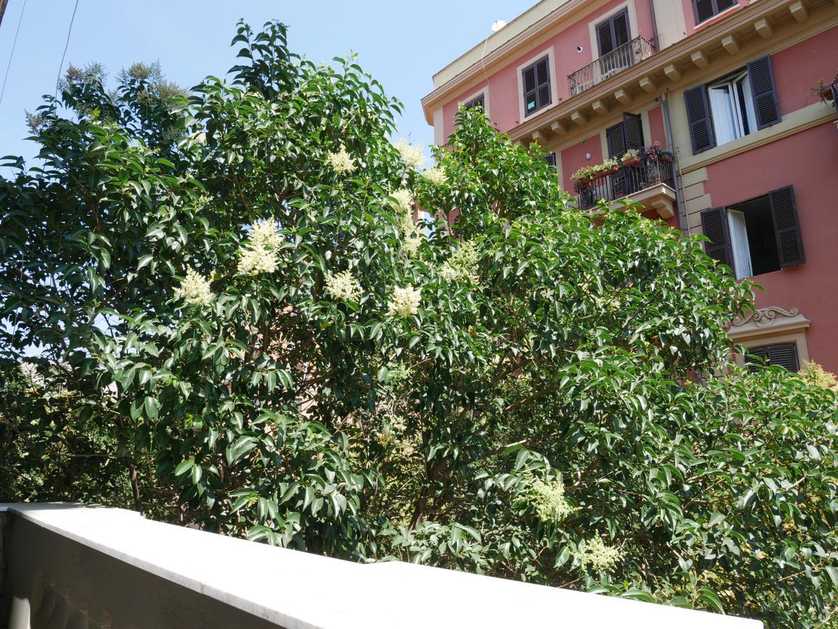 Nori Guest House Rom Exterior foto